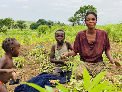 young african woman in a farm with two young boys helping her at the farm